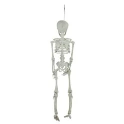 Northlight 20" Jointed Skeleton Hanging Halloween Decoration 10 Northlight 20" Jointed Skeleton Hanging Halloween Decoration -Northlight D668644S 3