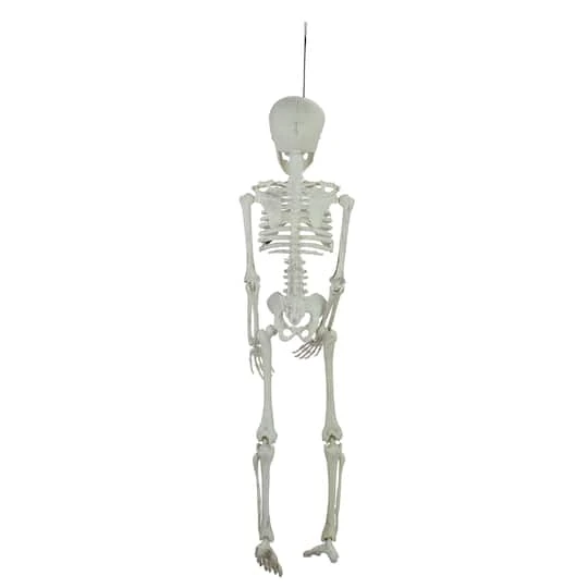 Northlight 20" Jointed Skeleton Hanging Halloween Decoration 6 Northlight 20" Jointed Skeleton Hanging Halloween Decoration - Image 4