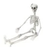 Northlight 35" Jointed Hanging Skeleton Halloween Decoration 2 Northlight 35" Jointed Hanging Skeleton Halloween Decoration -Northlight D668658S 1