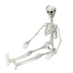 Northlight 35" Jointed Hanging Skeleton Halloween Decoration