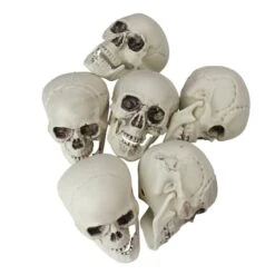 Northlight 3.5'' Skull Head Halloween Decorations, 6ct.