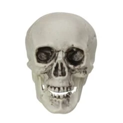 Northlight 3.5'' Skull Head Halloween Decorations, 6ct. -Northlight D668689S 2