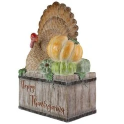 Northlight 20" Turkey & Pumpkins Happy Thanksgiving Decoration -Northlight D668760S 4