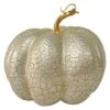 Northlight 12" Champagne Gold Crackled Fall Harvest Pumpkin Decoration 1 Northlight 12" Champagne Gold Crackled Fall Harvest Pumpkin Decoration -Northlight D668771S 1