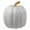 Northlight 8" White Pumpkin Autumn Harvest Tabletop Decoration 1 Northlight 8" White Pumpkin Autumn Harvest Tabletop Decoration -Northlight D668780S 1