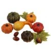 Northlight Autumn Harvest Pumpkin, Gourd, Acorn & Leaf Decoration Set 2 Northlight Autumn Harvest Pumpkin, Gourd, Acorn & Leaf Decoration Set -Northlight D668789S 1