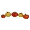 Northlight Fall Harvest Pumpkin Décor Set -Northlight D668794S 1