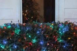 Northlight 6ft. Multi-Color LED Wide Angle Net Style Christmas Light Set With Green Wire -Northlight D676227S 3