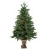 Northlight 4.5ft. Pre-Lit Sierra Norway Spruce Artificial Christmas Tree In Planter, Clear Lights 1 Northlight 4.5ft. Pre-Lit Sierra Norway Spruce Artificial Christmas Tree In Planter, Clear Lights -Northlight D676649S 1