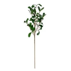 Northlight 24" Green And White Snow Mistletoe Artificial Christmas Spray