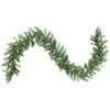 Northlight 9ft. Pre-Lit Canadian Pine Christmas Garland 2 Northlight 9ft. Pre-Lit Canadian Pine Christmas Garland -Northlight D676717S 1