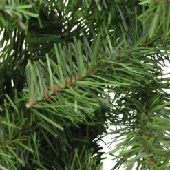 Northlight 100ft. Green Canadian Pine Commercial Length Christmas Garland 8 Northlight 100ft. Green Canadian Pine Commercial Length Christmas Garland -Northlight D676729S 2