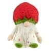 Northlight 9.5" Green & Red Boy Springtime Strawberry Gnome 2 Northlight 9.5" Green & Red Boy Springtime Strawberry Gnome -Northlight D688757S 1