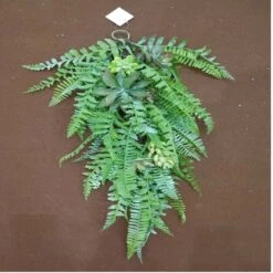 Northlight 28" Leaves & Succulents Teardrop Swag -Northlight D688874S 3