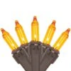 Northlight 100ct. Amber Mini Fall Harvest Lights