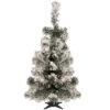 Northlight 2ft. Pre-Lit Flocked Bristol Pine Artificial Christmas Tree, Warm Clear LED Lights 1 Northlight 2ft. Pre-Lit Flocked Bristol Pine Artificial Christmas Tree, Warm Clear LED Lights -Northlight D755817S 1