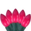 Northlight 25ct. Opaque C9 Christmas String Lights Fuchsia Pink 2 Northlight 25ct. Opaque C9 Christmas String Lights Fuchsia Pink -Northlight D756436S 1