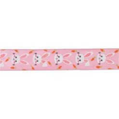 Northlight 2.5" X 10yd. Easter Bunny Design Wired Spring Craft Ribbon