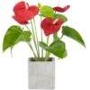 Northlight 12" Red Laceleaf Plant In A Square Pot -Northlight D761776S 1