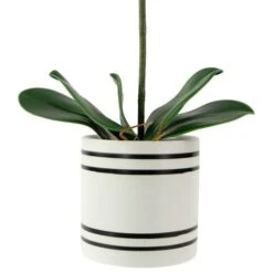Northlight 24" Real Touch™ Pink Orchid In A Striped Ceramic Pot -Northlight D761777S 5