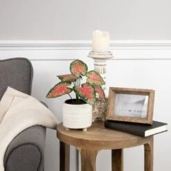 Northlight 8" Potted Rohdea Plant -Northlight D761778S 2