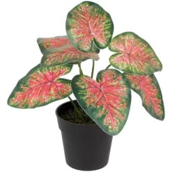 Northlight 8" Potted Rohdea Plant -Northlight D761778S 3