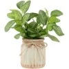 Northlight 8" Reticulated Spring Foliage In Ceramic Pot 1 Northlight 8" Reticulated Spring Foliage In Ceramic Pot -Northlight D761779S 1