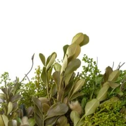 Northlight 10" Mixed Foliage & Willow Bud Wreath -Northlight D761785S 3