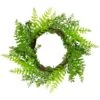 Northlight 18" Green Fern Leaf Springtime Wreath