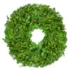 Northlight 10" Green Foliage Artificial Spring Wreath