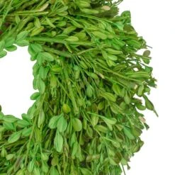 Northlight 10" Green Foliage Artificial Spring Wreath -Northlight D761791S 3