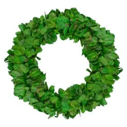 Northlight 20" Lush Green Preserved Leaf Spring Garden Wreath