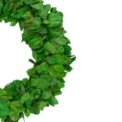 Northlight 20" Lush Green Preserved Leaf Spring Garden Wreath 8 Northlight 20" Lush Green Preserved Leaf Spring Garden Wreath -Northlight D761793S 2