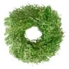 Northlight 15" Green Foliage Artificial Spring Wreath 1 Northlight 15" Green Foliage Artificial Spring Wreath -Northlight D761794S 1