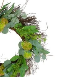 Northlight 24" Eucalyptus & Olive Leaf Twig Spring Wreath 8 Northlight 24" Eucalyptus & Olive Leaf Twig Spring Wreath -Northlight D761797S 3