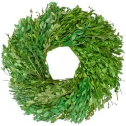 Northlight 11" Green Foliage Wreath -Northlight D761813S 1 1