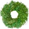 Northlight 11" Green Foliage Wreath -Northlight D761813S 1