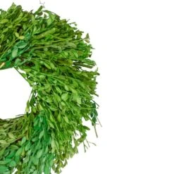 Northlight 11" Green Foliage Wreath -Northlight D761813S 3