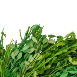 Northlight 11" Green Foliage Wreath -Northlight D761813S 4