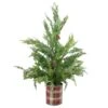 Northlight 24" Unlit Iced Cedar Artificial Potted Christmas Tree 2 Northlight 24" Unlit Iced Cedar Artificial Potted Christmas Tree -Northlight D810163S 1
