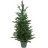 Northlight 4ft. Pre-Lit Potted Real Touch™ Grande Spruce Artificial Christmas Tree, Clear Lights 1 Northlight 4ft. Pre-Lit Potted Real Touch™ Grande Spruce Artificial Christmas Tree, Clear Lights -Northlight D810208S 2