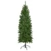 Northlight 12ft. Pre-Lit White River Fir Artificial Christmas Tree, Clear Lights 1 Northlight 12ft. Pre-Lit White River Fir Artificial Christmas Tree, Clear Lights -Northlight D810218S 1