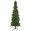 Northlight 7.5ft. Pre-Lit Wicklow Noble Fir Pencil Artificial Christmas Tree, Clear Lights -Northlight D810391S 1