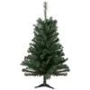 Northlight 2ft. Unlit Blackwater Fir Artificial Christmas Tree