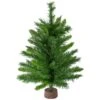 Northlight 24" Unlit Mixed Kateson Fir Medium Artificial Christmas Tree -Northlight D810533S 1