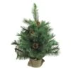Northlight 18" Unlit Medium Royal Oregon Pine Artificial Christmas Tree In Burlap Base -Northlight D810546S 1