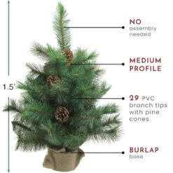 Northlight 18" Unlit Medium Royal Oregon Pine Artificial Christmas Tree In Burlap Base -Northlight D810546S 3