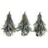 Northlight 9.5" Unlit Mini Silvery Pine Downswept Artificial Christmas Tree Set 1 Northlight 9.5" Unlit Mini Silvery Pine Downswept Artificial Christmas Tree Set -Northlight D810556S 1