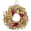Northlight 11" Pampas Grass & Dried Floral Spring Wreath